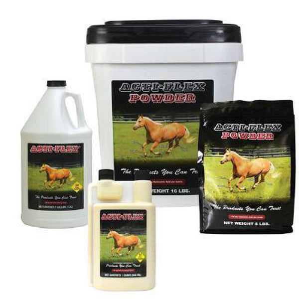 Equine Bio-Sponge Syringe  Gastrointestinal Support for Horses