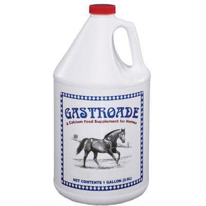 Gastroade - EZhorse.com
