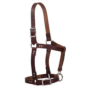 Riveted Halter with Catch Strap - Suckling