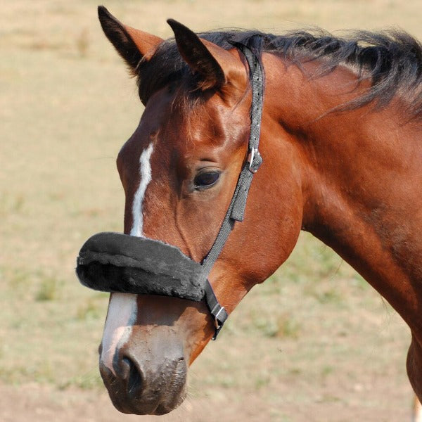 SHADOW ROLL SHADOW ROLL