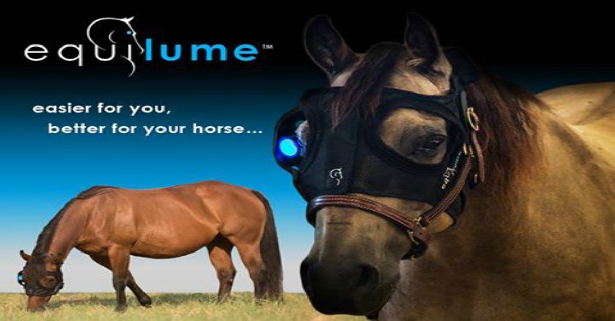 Horse - Equilume Light Mask for horses comes to the USA !!