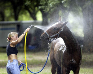 Person - Summer Heat Warning!  Watch for heat exhaustion, stroke in your horses!