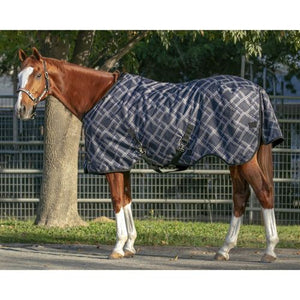 Kensington Signature 300GM Turn out Blanket