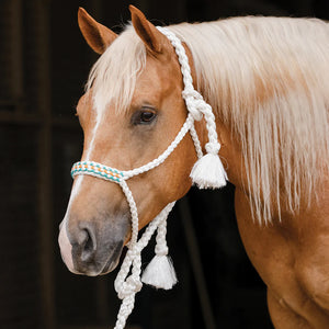 Cowboy Braided Halter