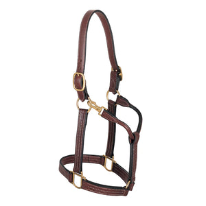 Weaver Leather Halter