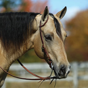 Heavy Oiled One Ear Headstall w/ Buckle Ends