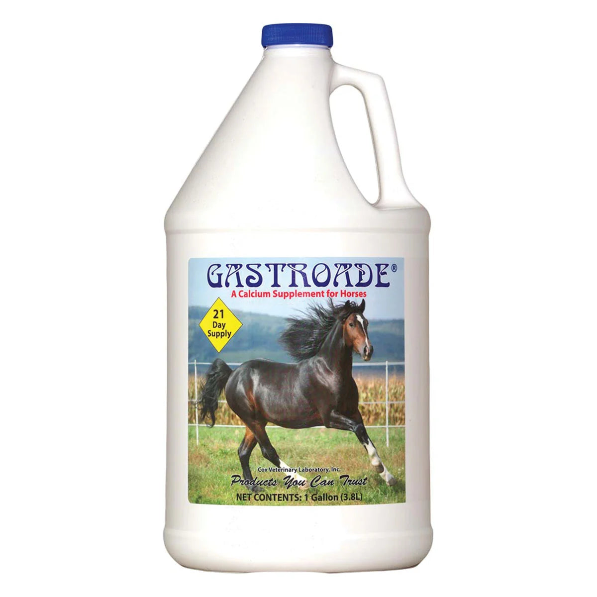 Gastroade Supplement
