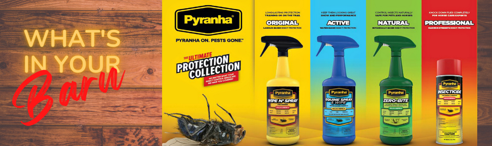 Shop EZhorse.com and Equi-Mart for all your equine needs