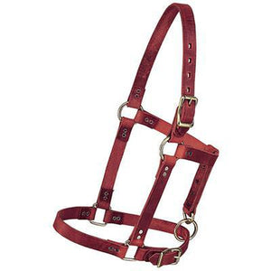 Halter Leather Yearling - EZhorse.com
