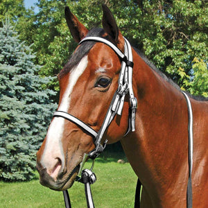 Jacks Race Bridle Thoroughbred- Complete