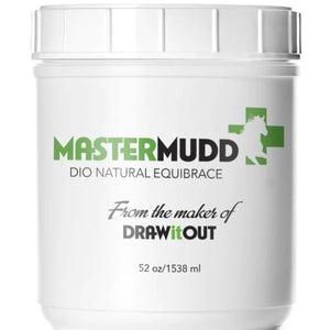 Mastermudd