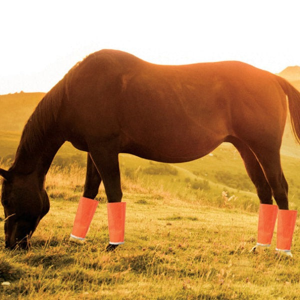 Stone Manufacturing & Supply Company, Inc. ShooFly Leggins (Pony, Blue Stone Manufacturing & Supply Company, Inc. ShooFly Leggins (Pony, Blue