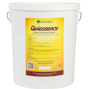 Quiessence- EZhorse.com